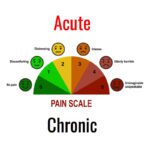 Acute and Chronic Pain and How To Survive It